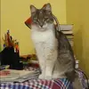 Отзыв от Юлия Бочарова